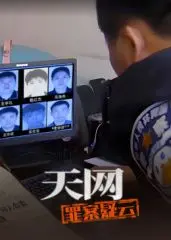 《天网：罪案疑云》：层层剥茧，揭秘隐藏在监控背后的惊天真相，悬疑烧脑不停歇！