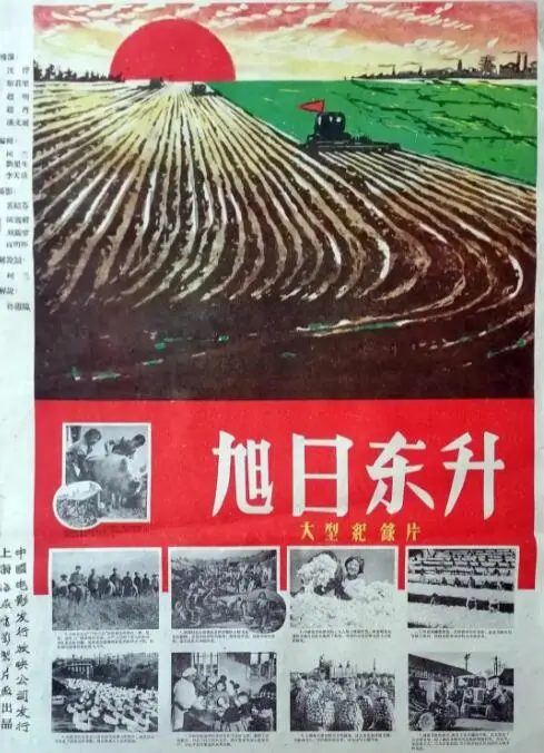 《旭日东升》：爱与成长，在命运的洪流中寻找生命的光芒与方向