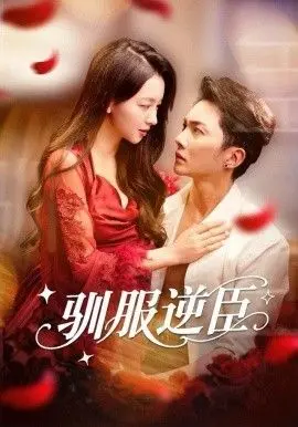 《驯服逆臣》：一场惊心动魄的暗夜博弈，这铁家伙让人脊背发凉！