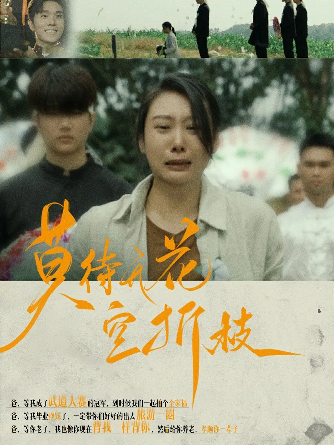 《莫待无花空折枝》：霸总的深情原来是这样？“昭昭殊荣”看得我眼眶湿了！