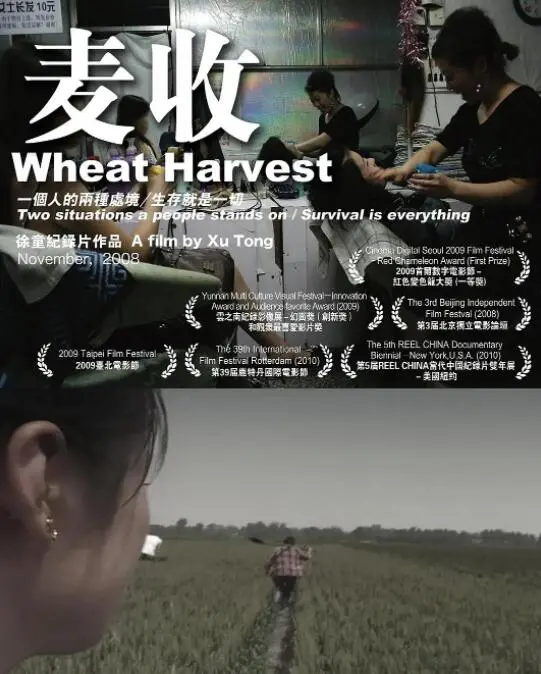 《麦收》：农村生活的真实写照，这部荣耀让人看得又哭又笑！