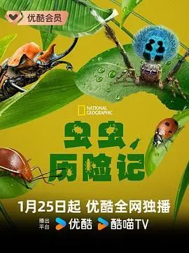 《虫虫历险记》： Miniature Marvels, Maxi Adventures - 别让你的童心被生活压垮！